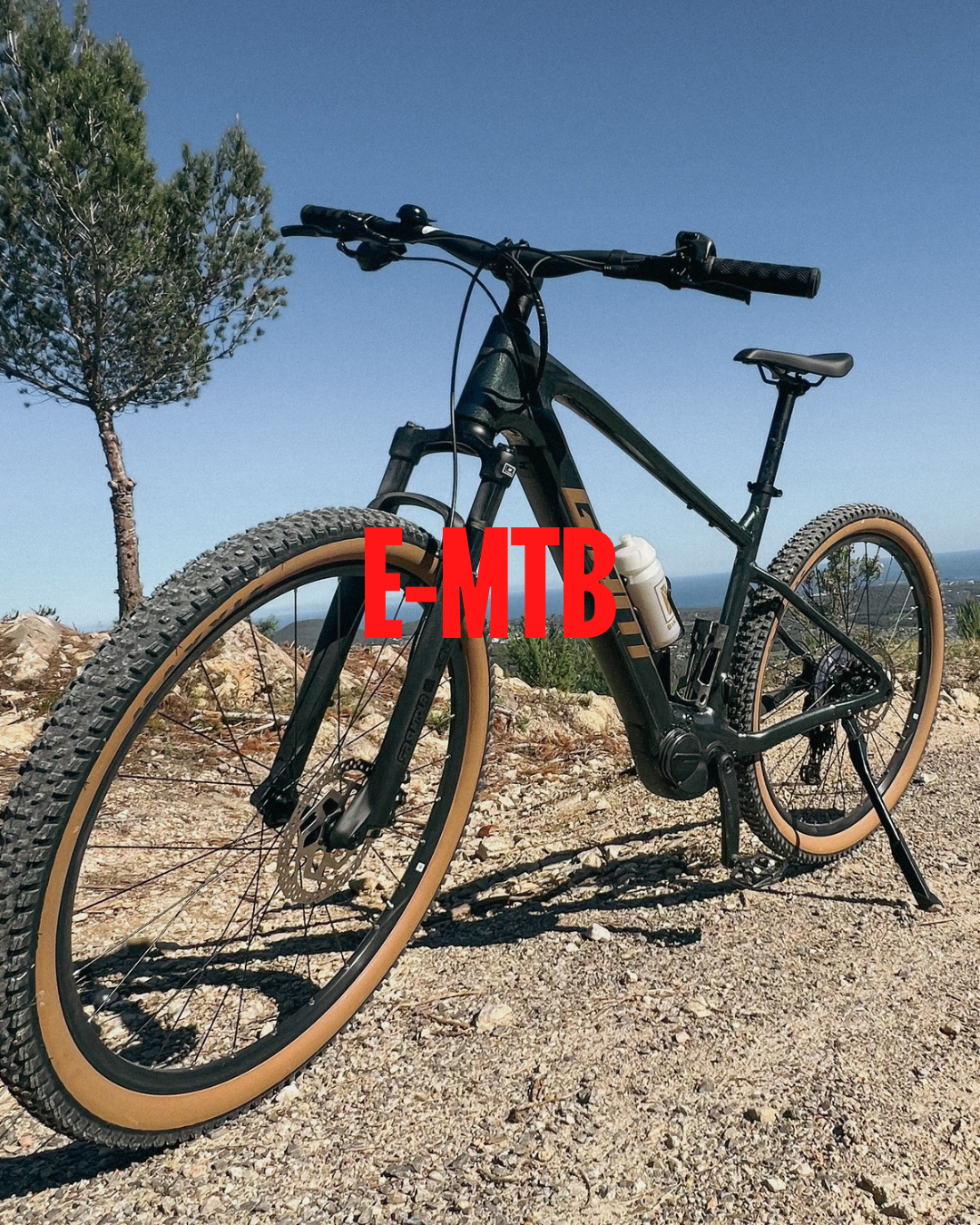 Mountain Bike Rental in Cala Llonga photo 2