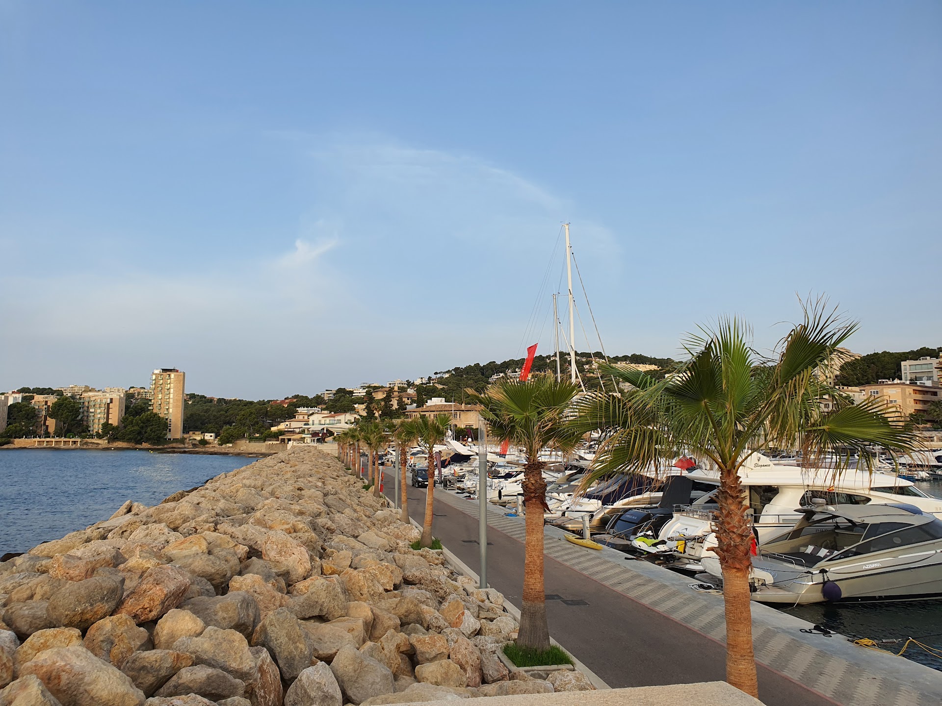 Water Skiing in Cala Nova photo 4