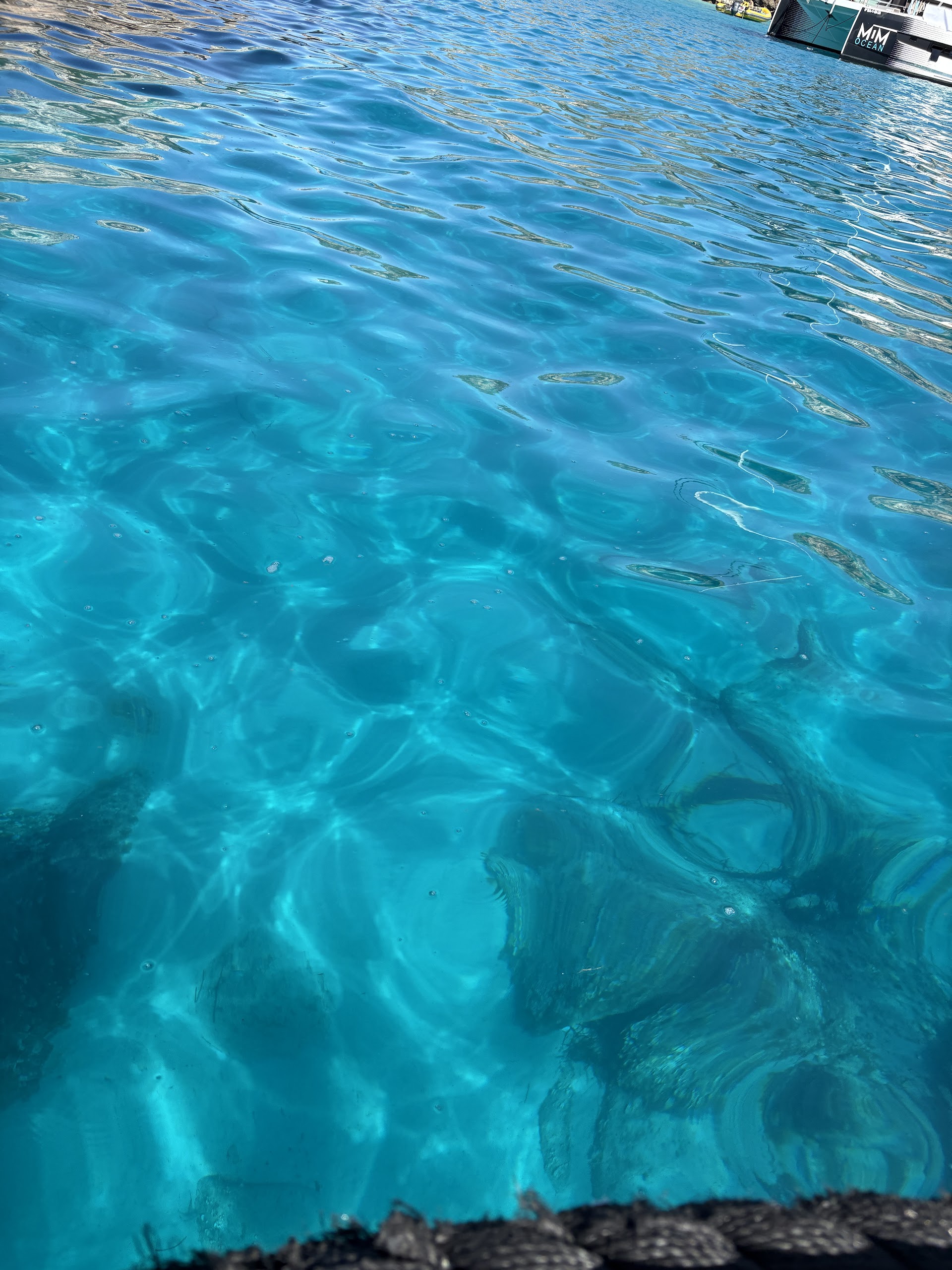 Glass Bottom Boat in Cala Santanyí photo 2