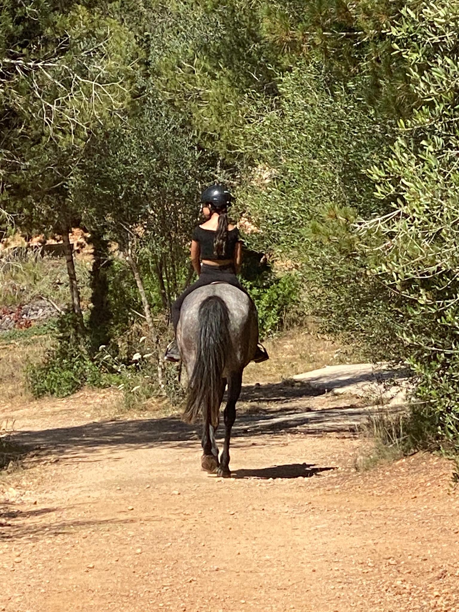 Horseback Riding in Playa d'en Bossa photo 2