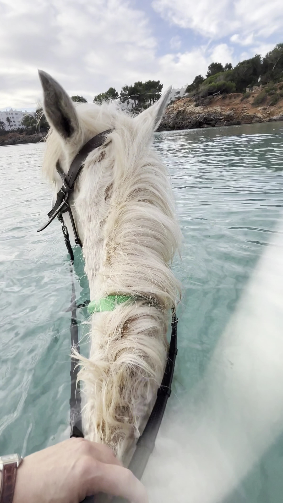 Horseback Riding in Playa d'en Bossa photo 3