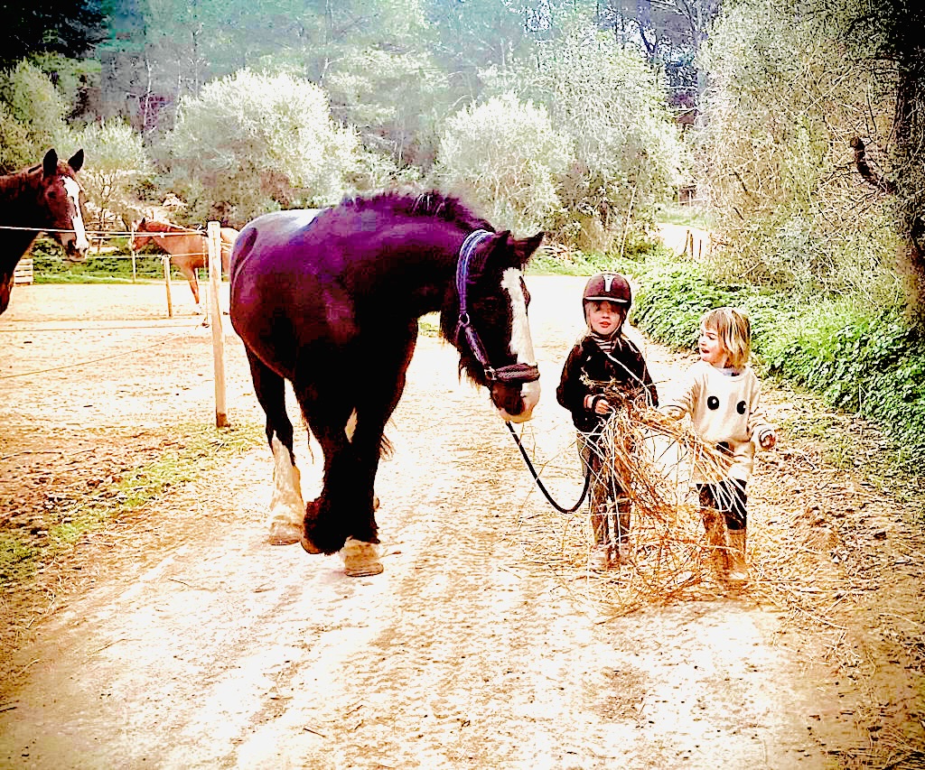 Horseback Riding in Playa d'en Bossa photo 4