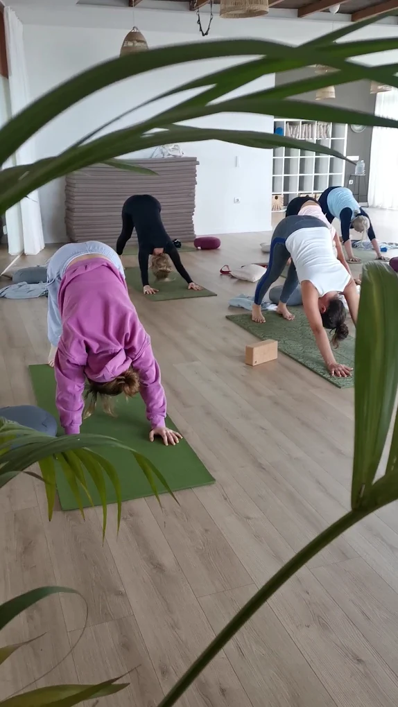 Flow with Faye… Yoga & Wellbeing