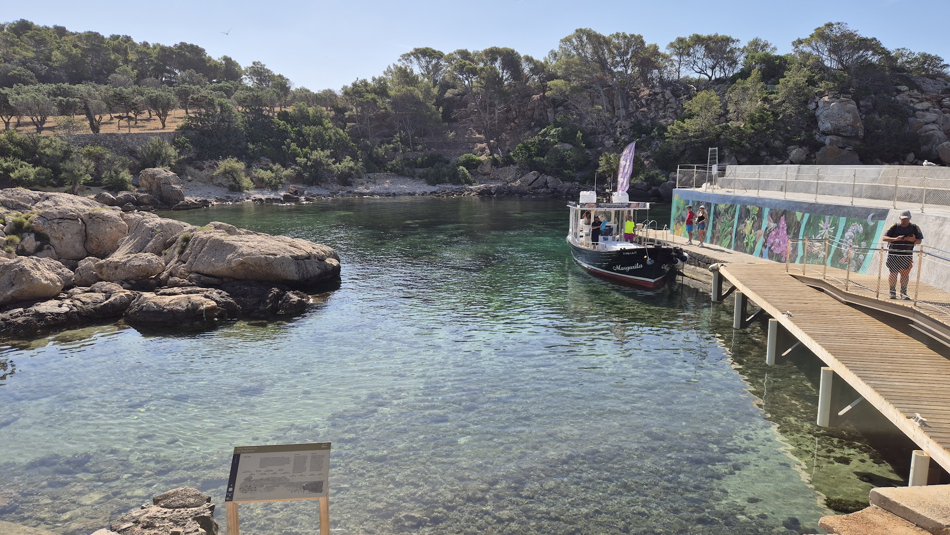 Glass Bottom Boat in Port d'Andratx photo 2