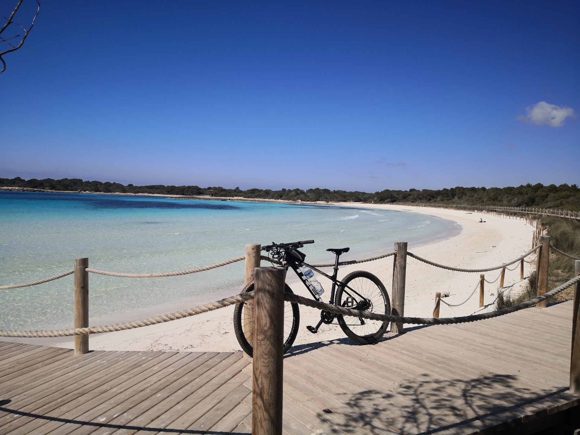 E-Foil Rental in Cala en Bosch photo 1