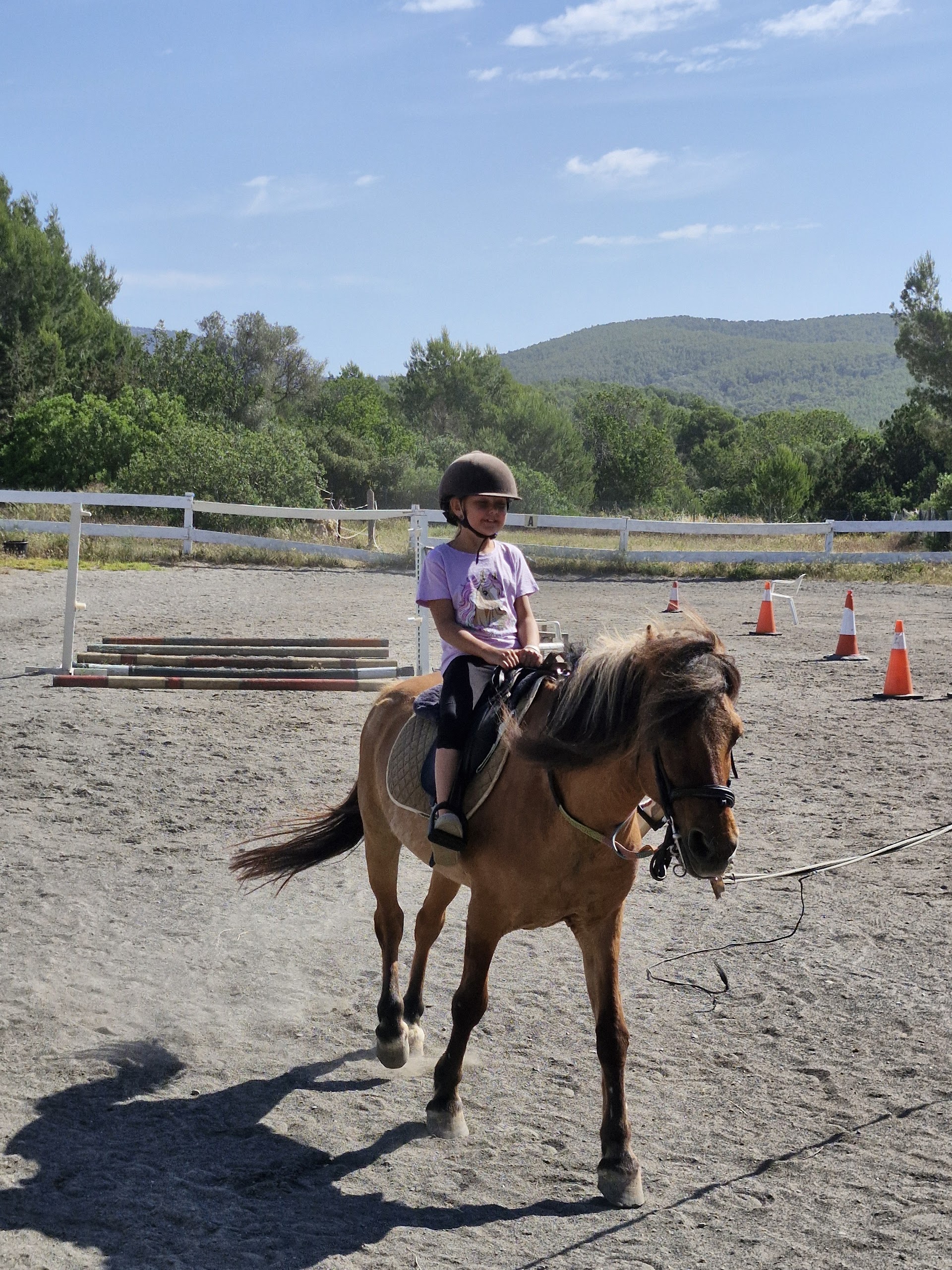 Horseback Riding in Cala de Bou photo 2