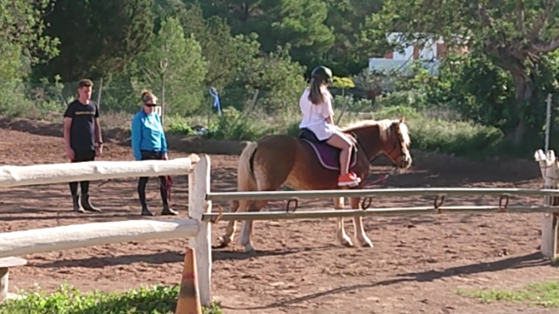 Horseback Riding in Cala de Bou photo 3