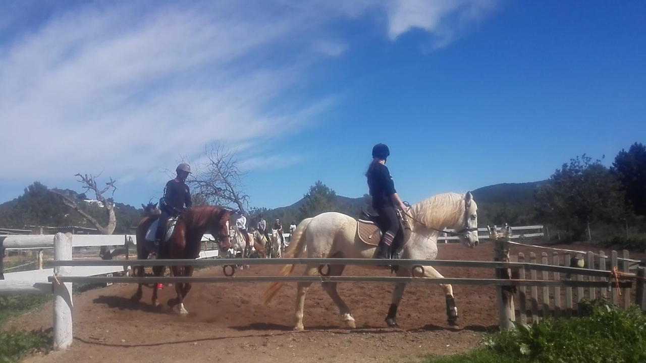 Horseback Riding in Cala de Bou photo 4