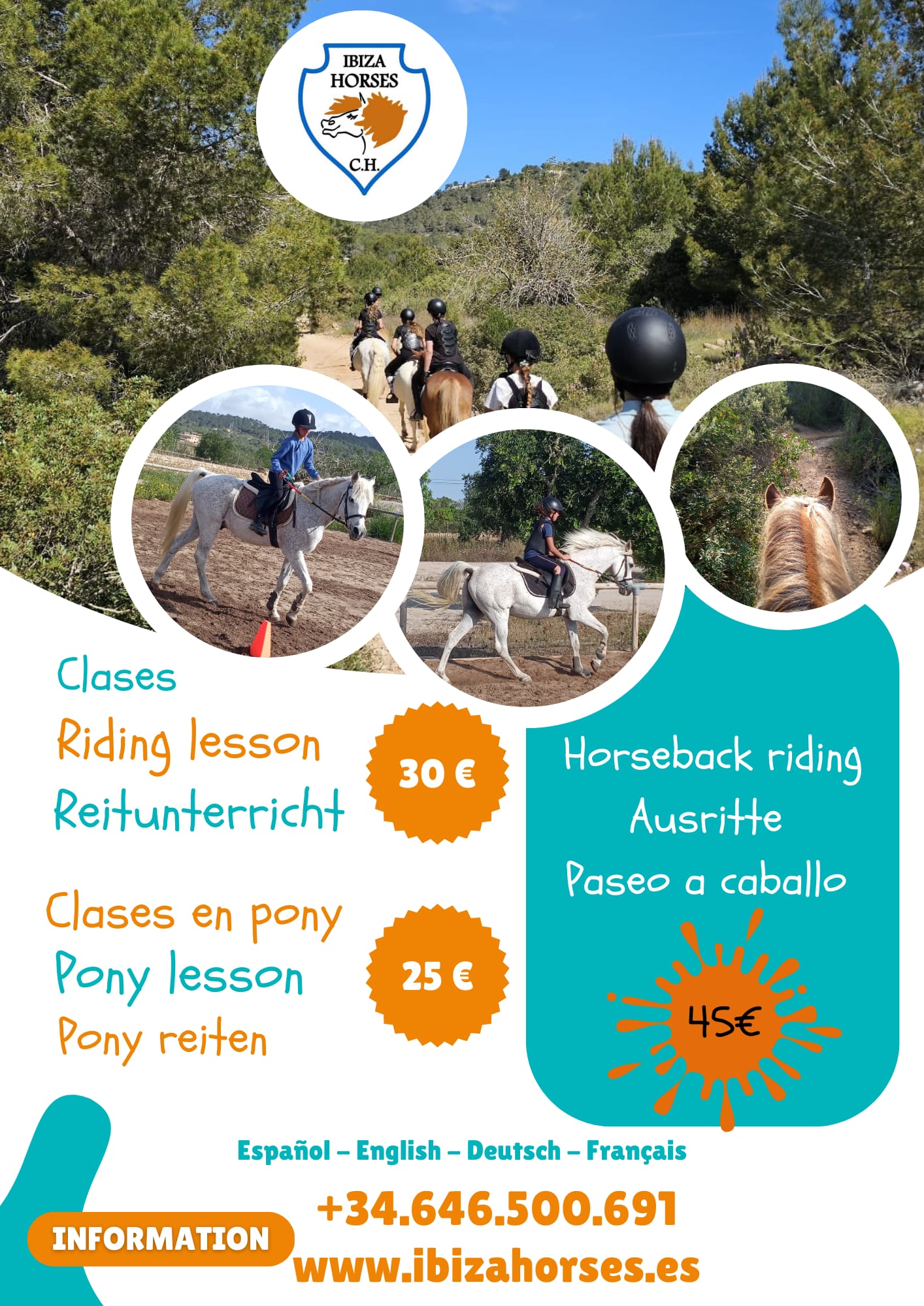 Horseback Riding in Cala de Bou photo 5