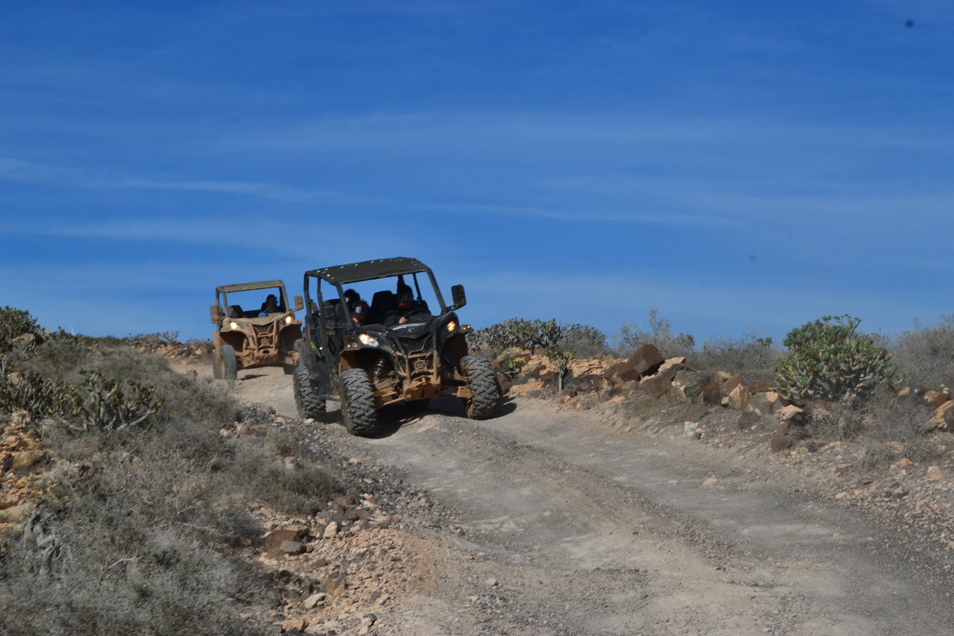 Quad & Buggy Tours in Costa Teguise photo 2