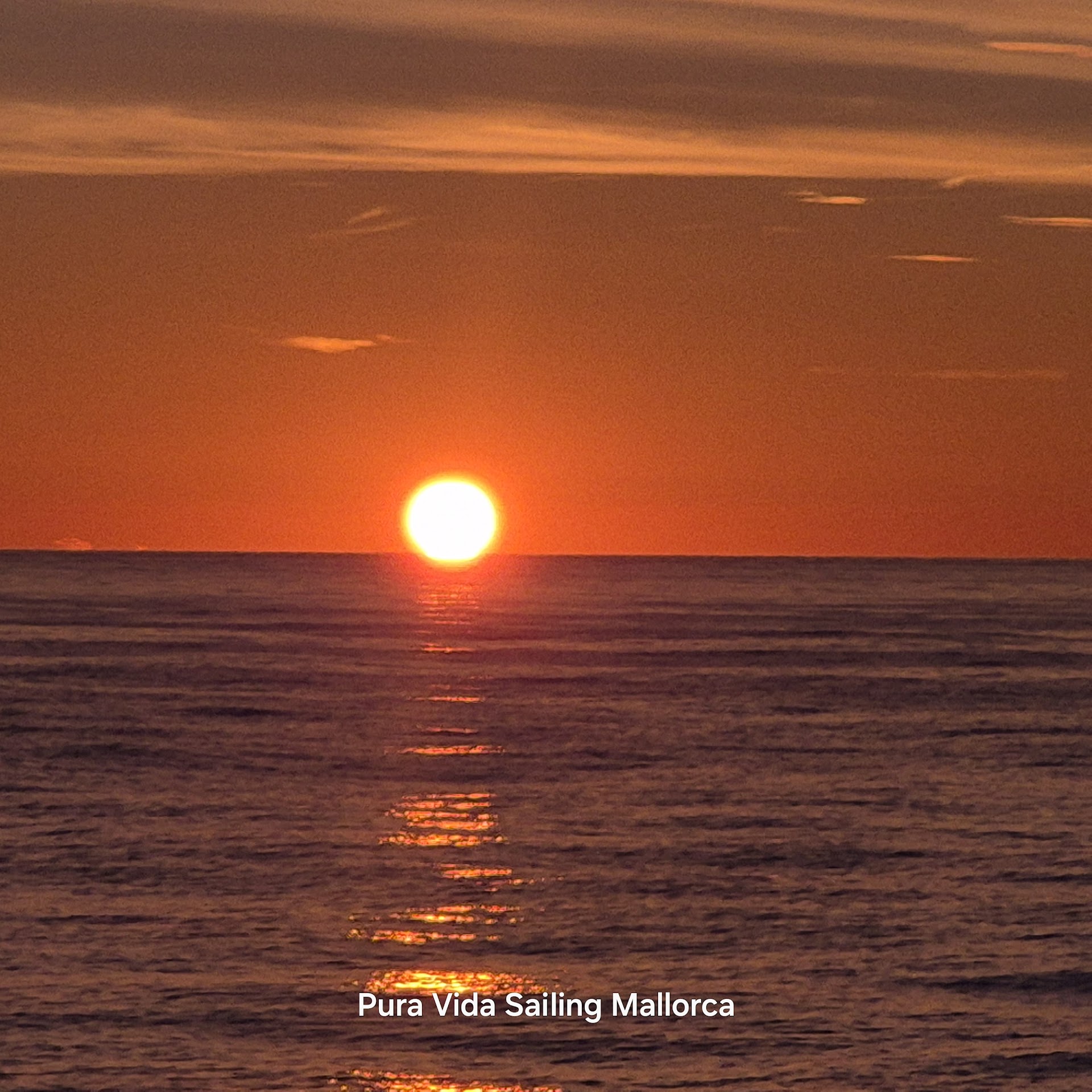 Fishing Charter in Port d'Andratx photo 3