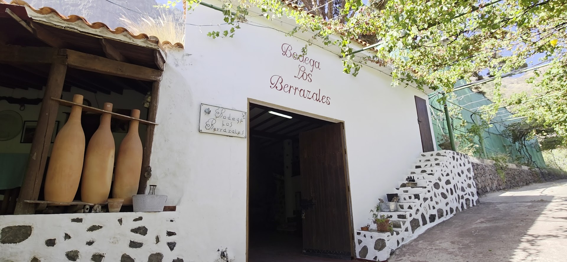 Wine Tasting in Las Palmas photo 3