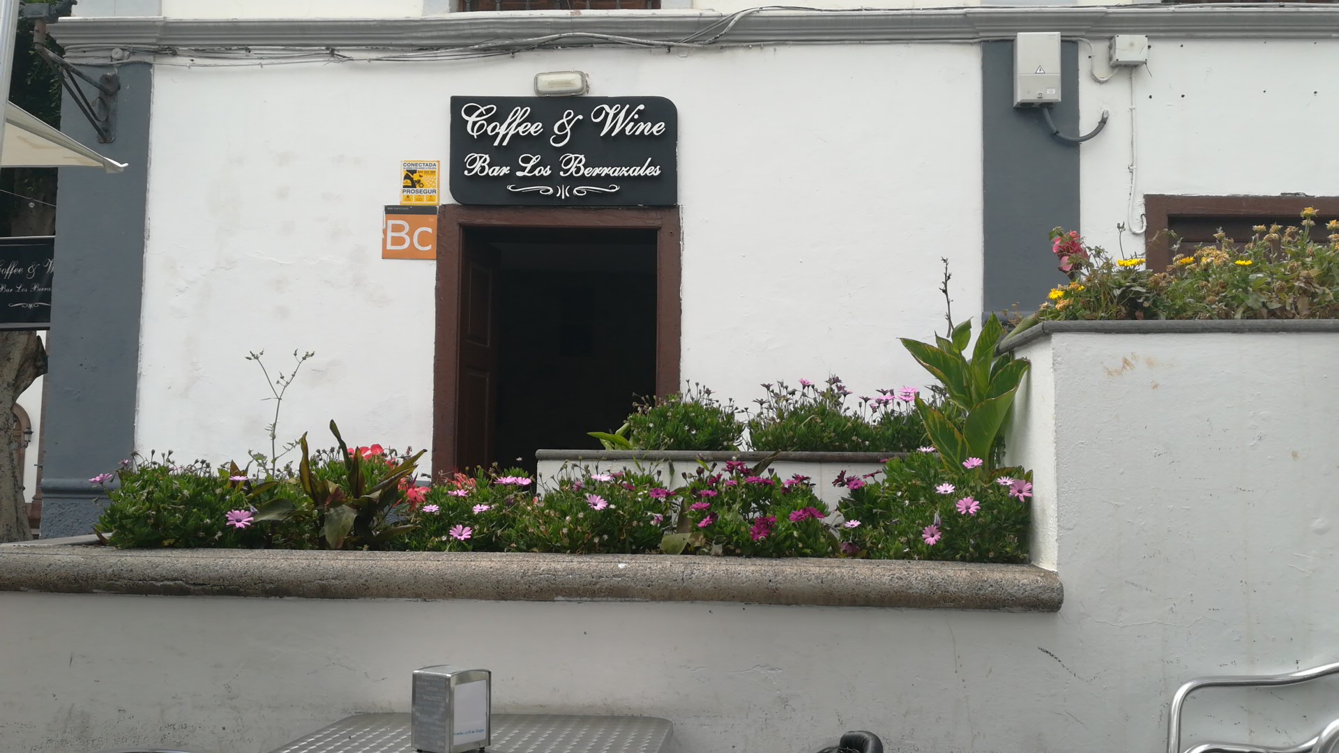 Wine Tasting in Las Palmas photo 5