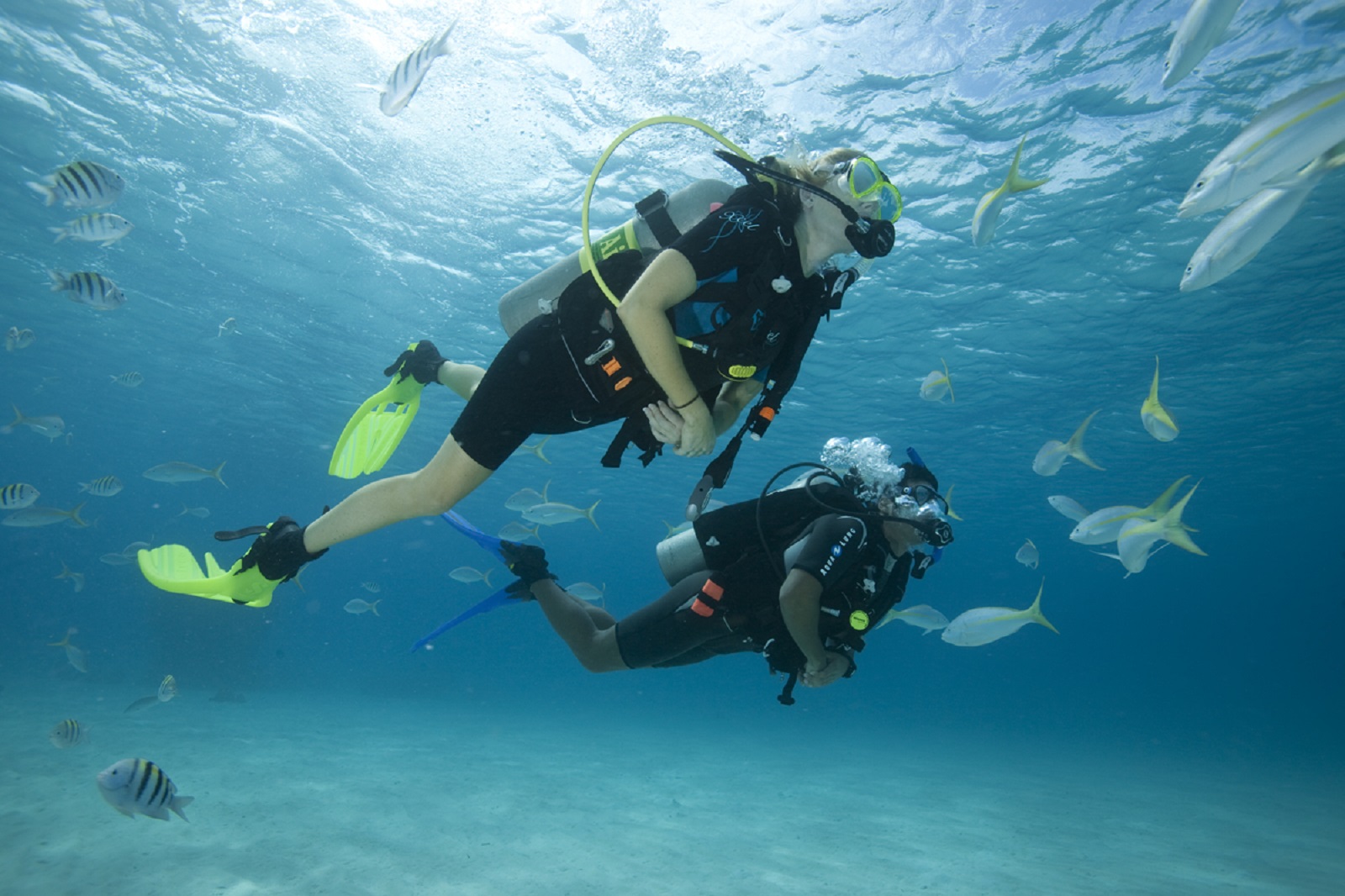 Diving & Snorkeling in San Agustín photo 4