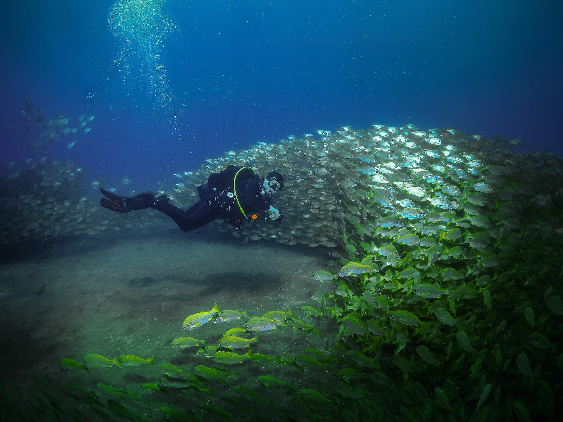 Club de buceo El Sebadal