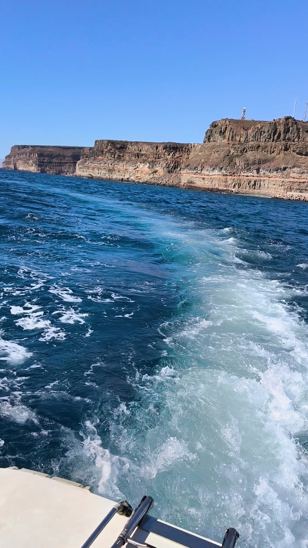 Family Boat Trips in Puerto de Mogán photo 3