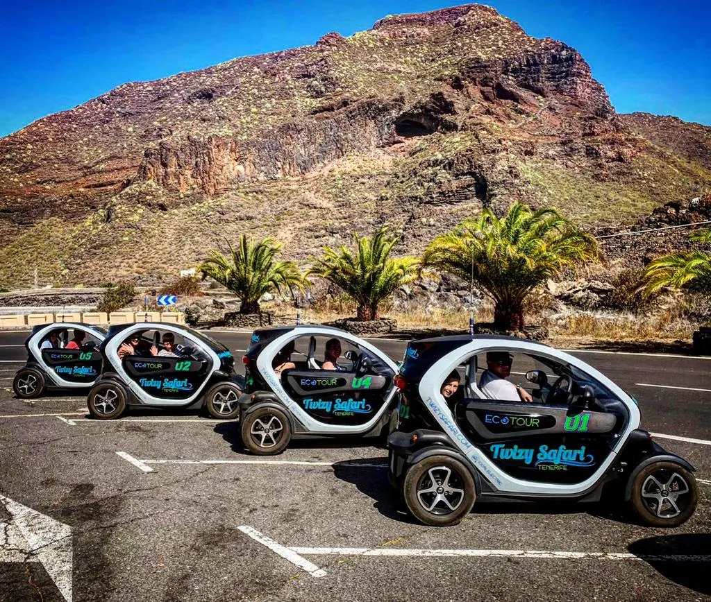 Quad & Buggy Tours in Los Gigantes photo 3