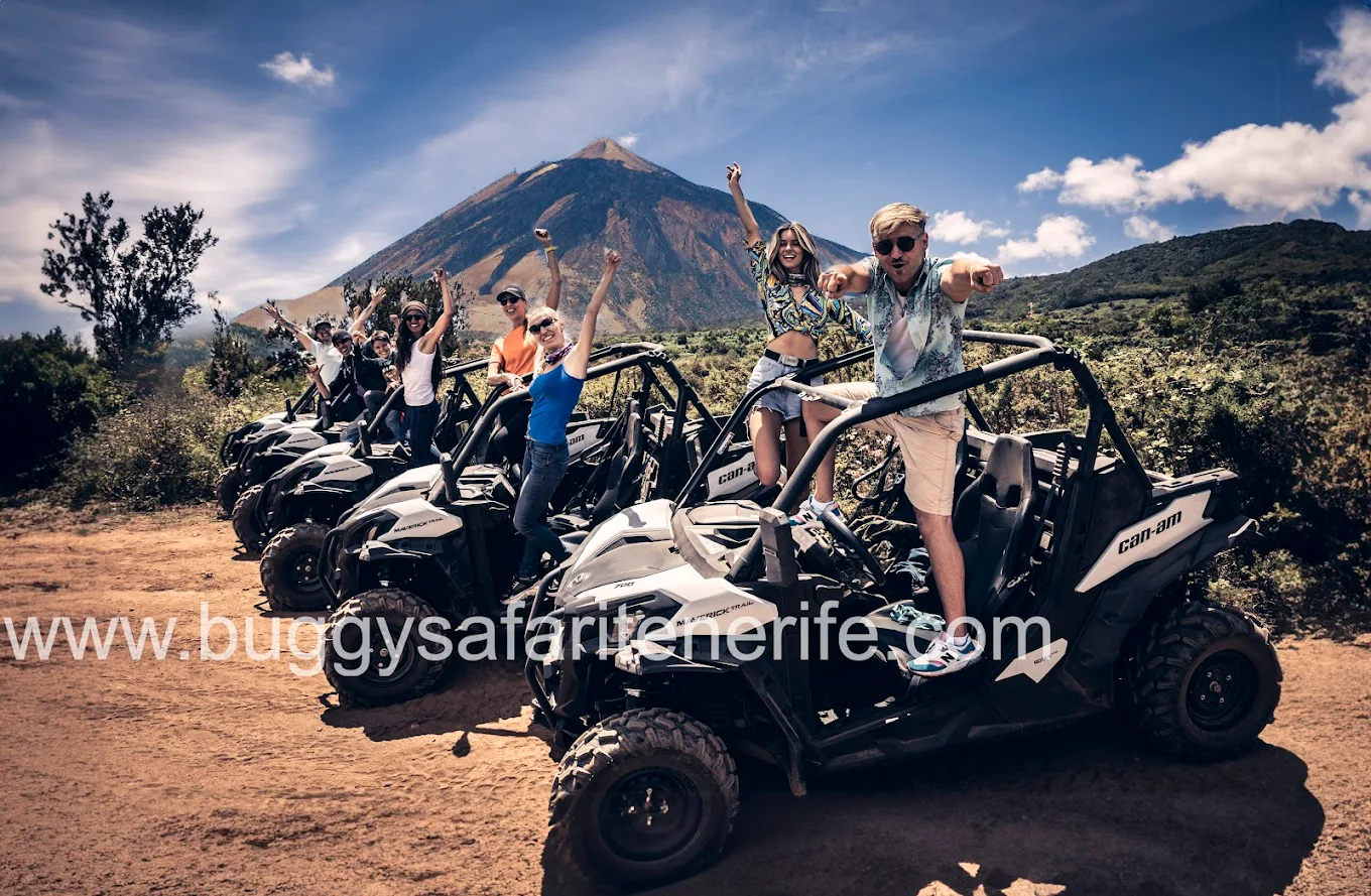 Quad & Buggy Tours in Los Gigantes photo 5