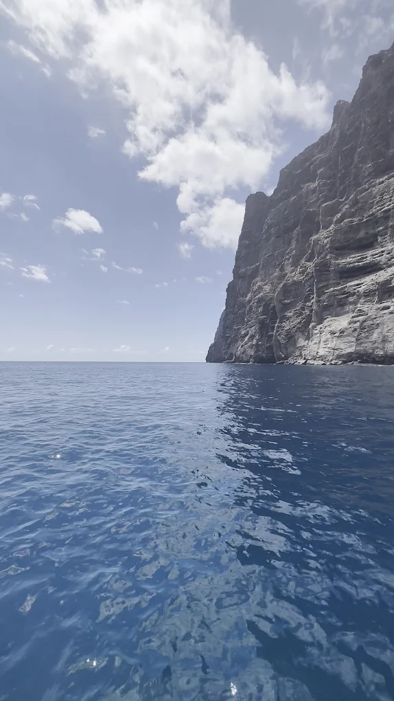 Whale Watching Tour from Los Gigantes photo 2