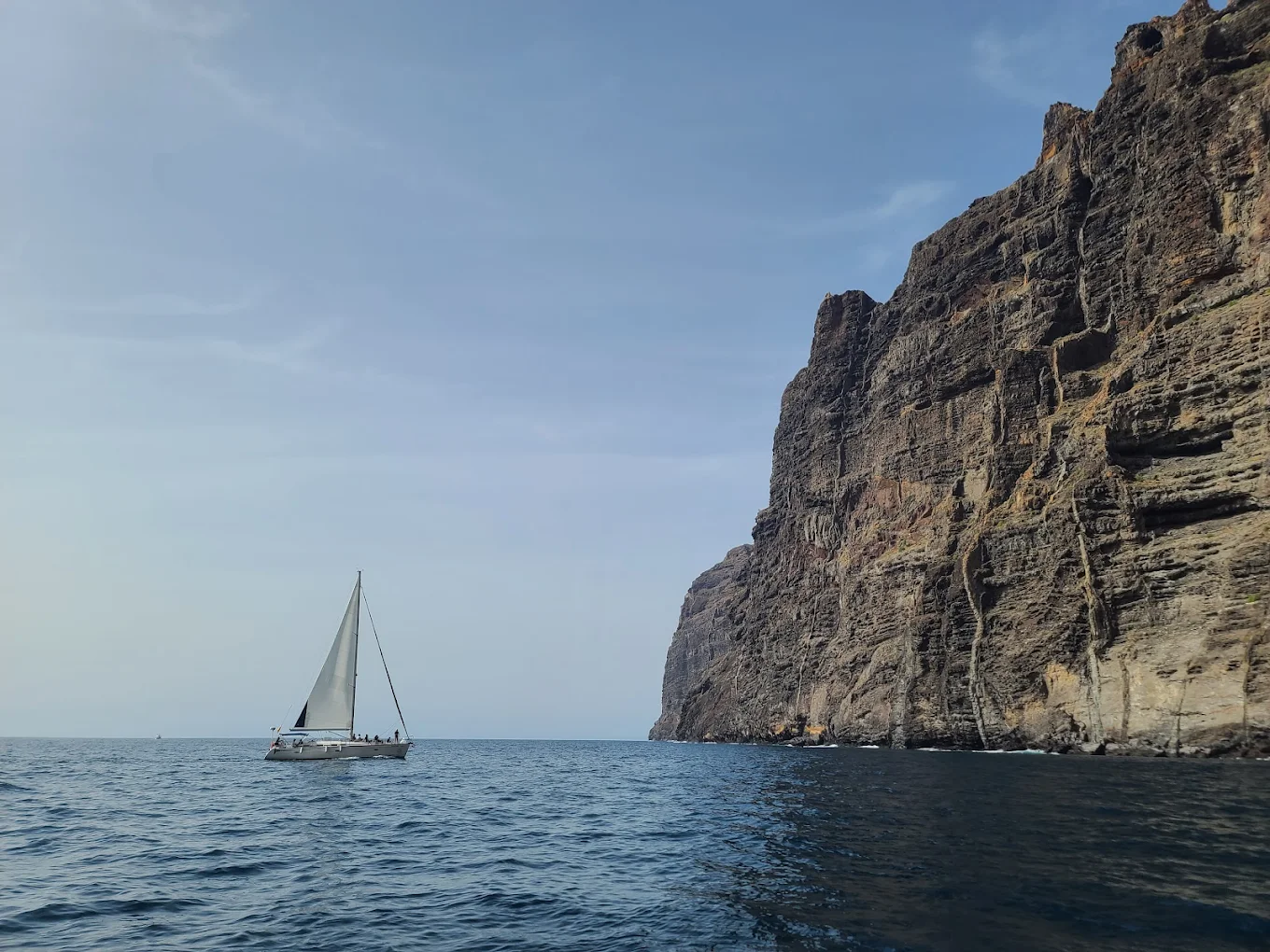 Whale Watching Tour from Los Gigantes photo 5