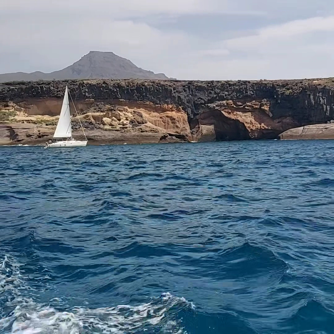 Canary Adventure Boat Excursions
