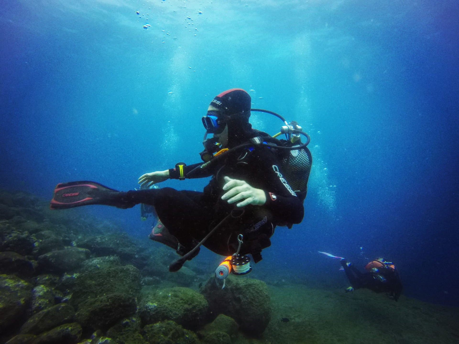 Scuba Courses LP photo 2