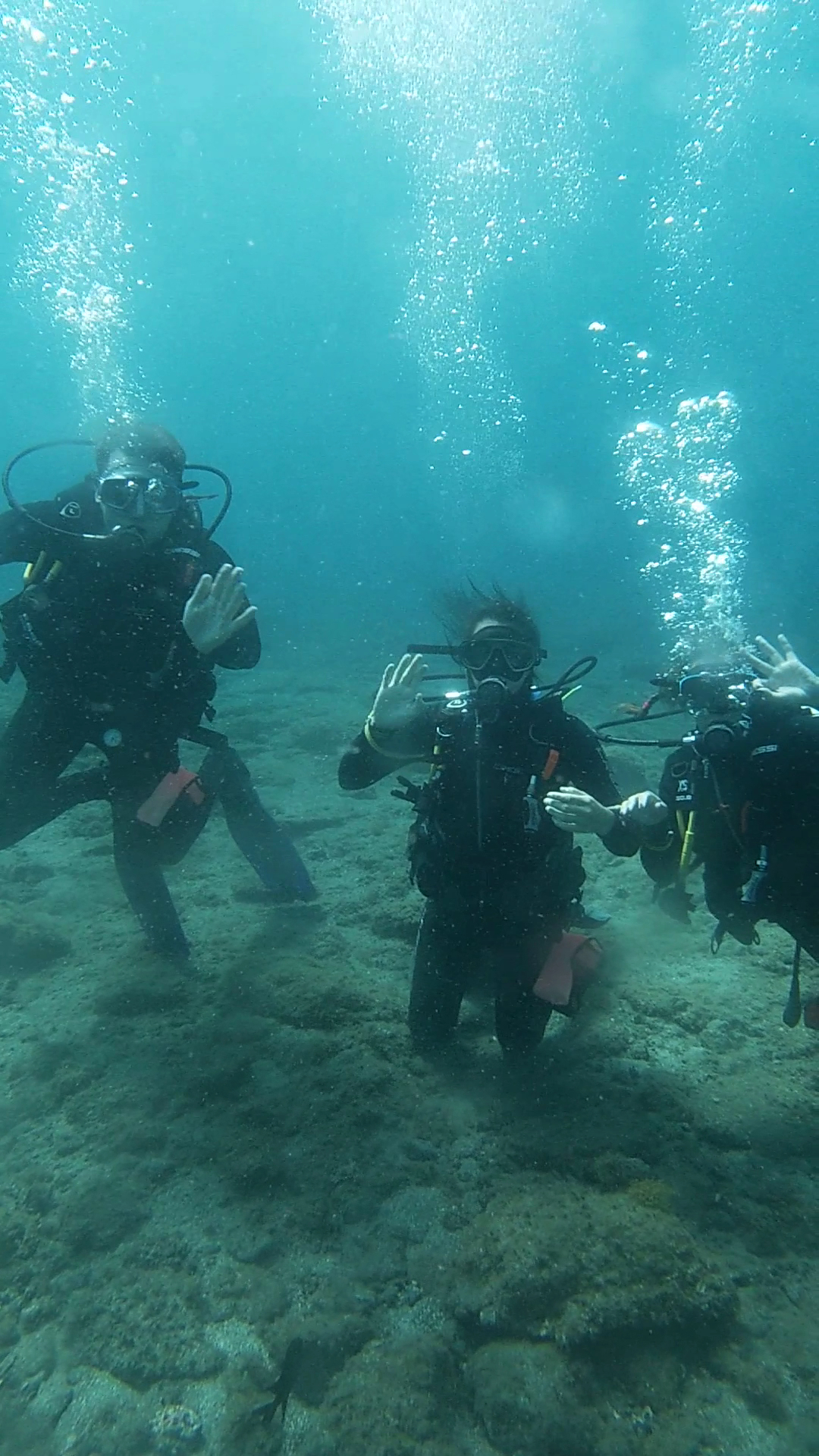 Scuba Courses LP photo 3