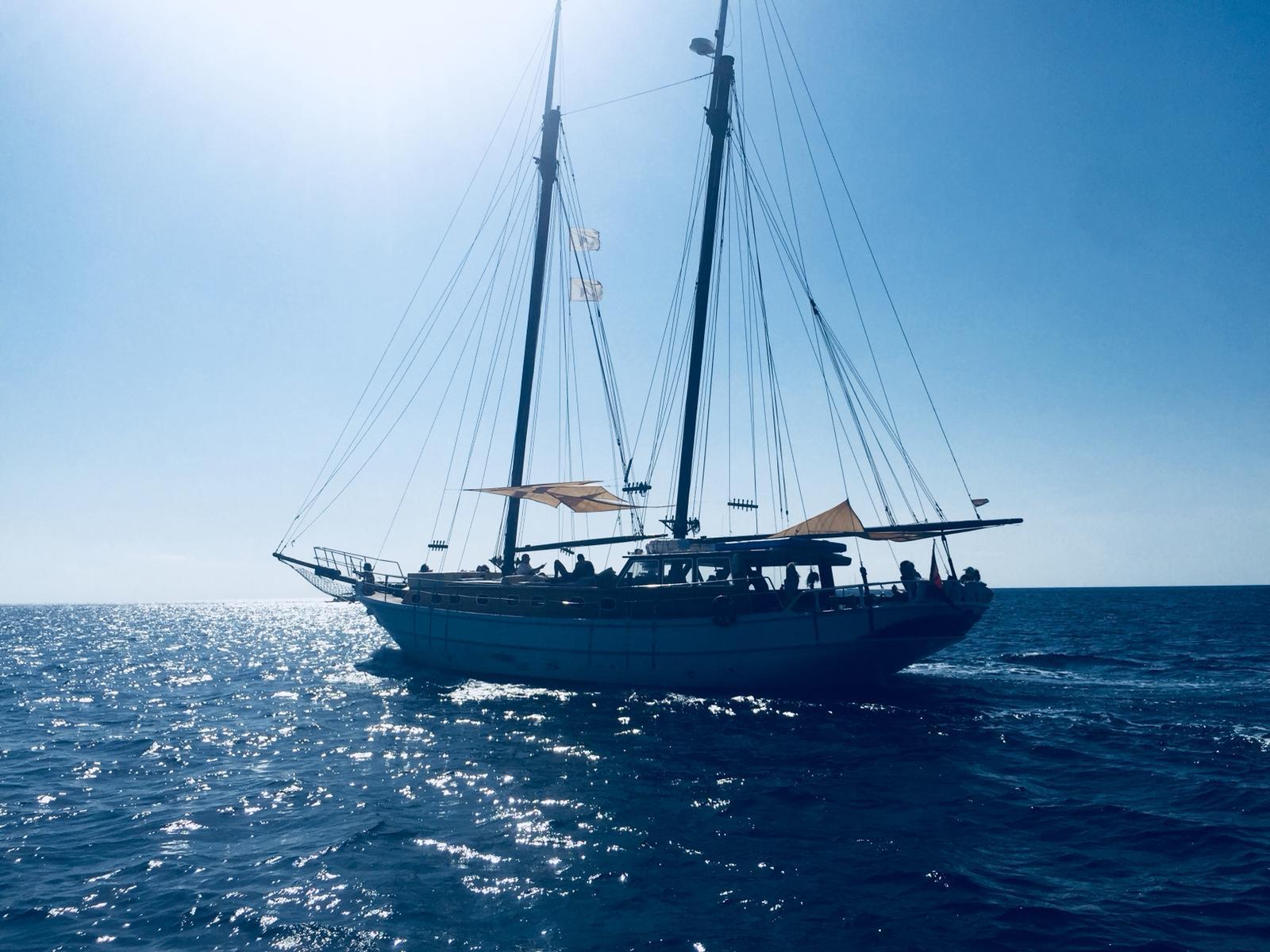 Whale Watching in Es Pujols photo 5