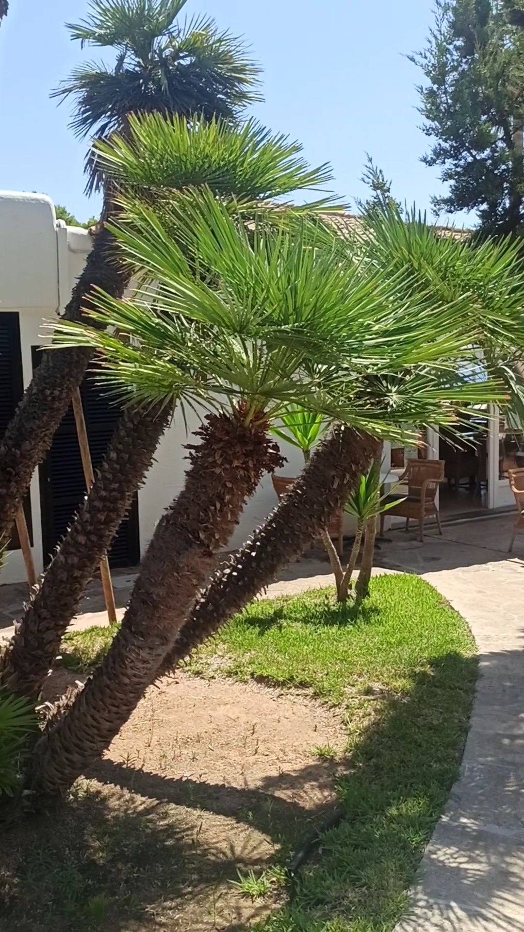 Spa & Massage in Cala d'Or photo 3