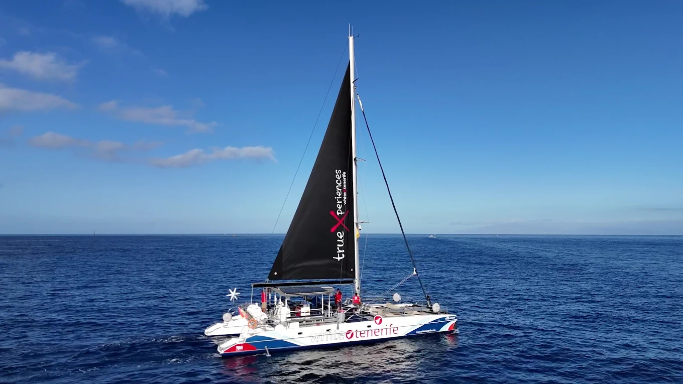 Catamaran Cruise in Costa Adeje photo 3