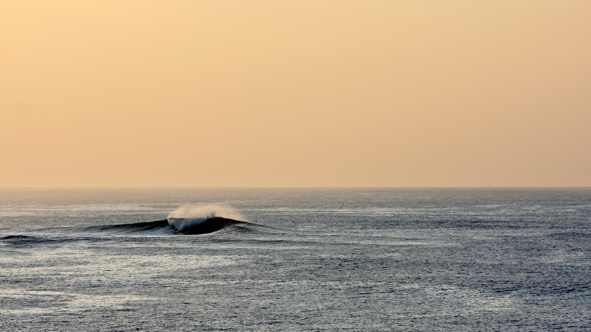 SURFCONSAL | Private Surf Lessons | Surf School | SurfSkate | Longboard Lessons