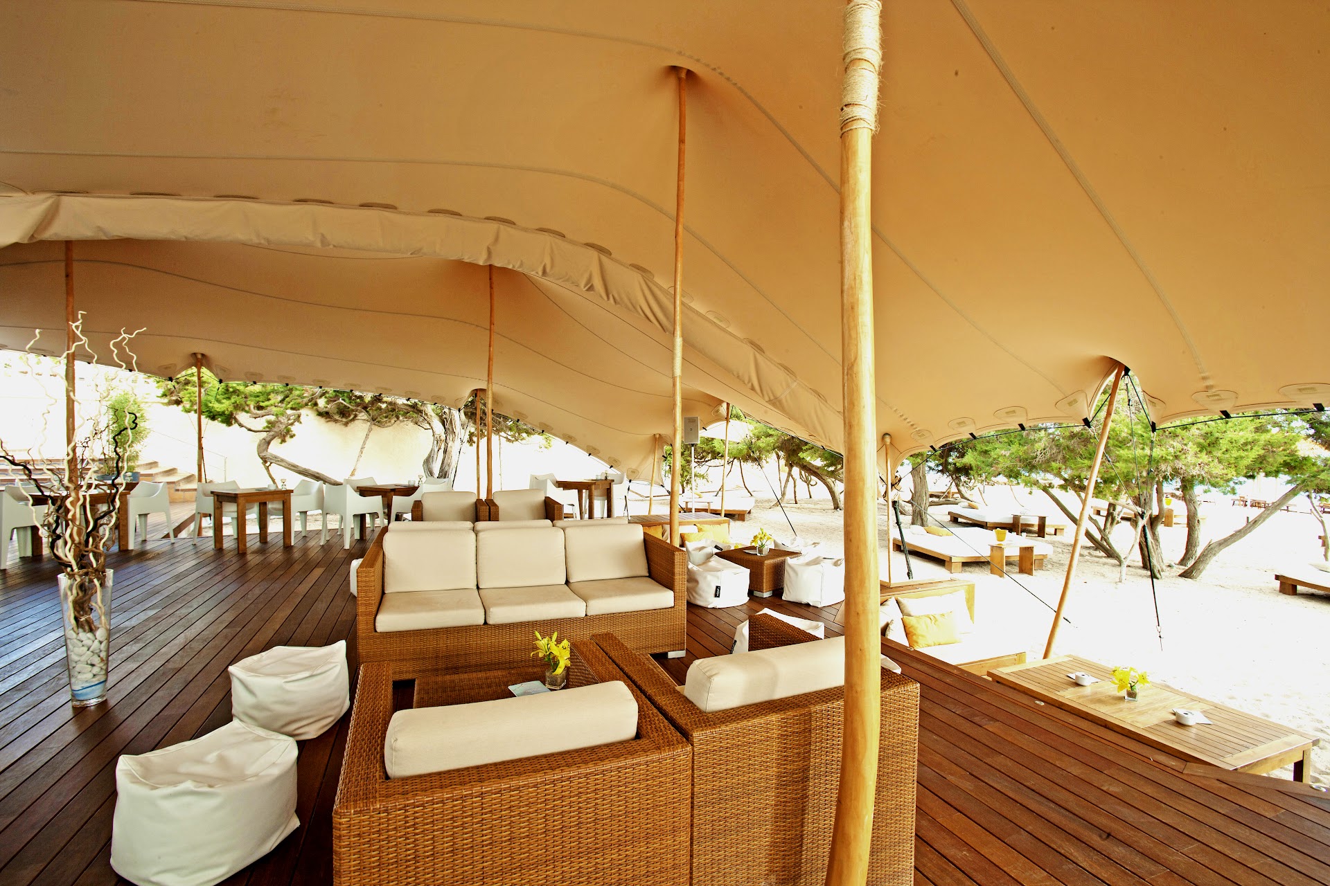 Wellness Retreat in Cala Saona photo 1