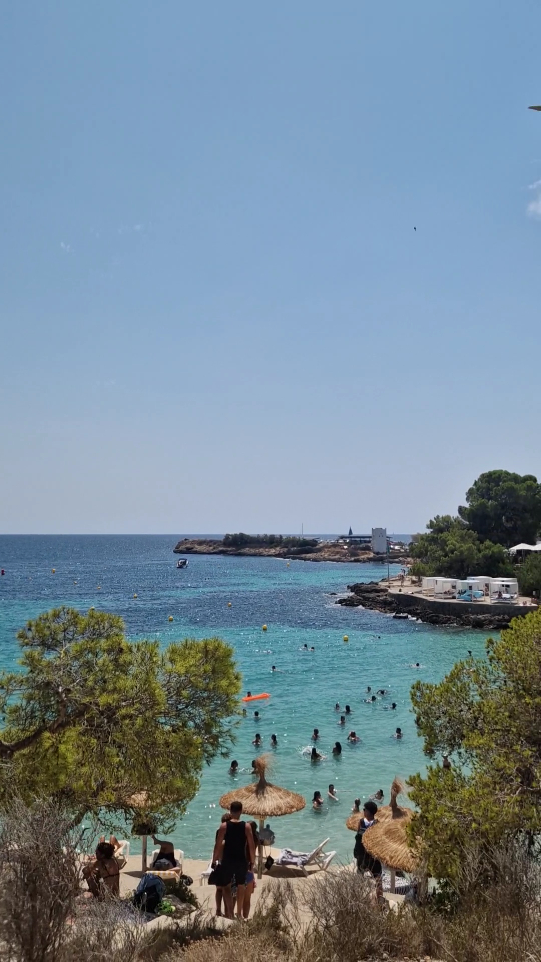 Island Hopping Tour in Illetes photo 3