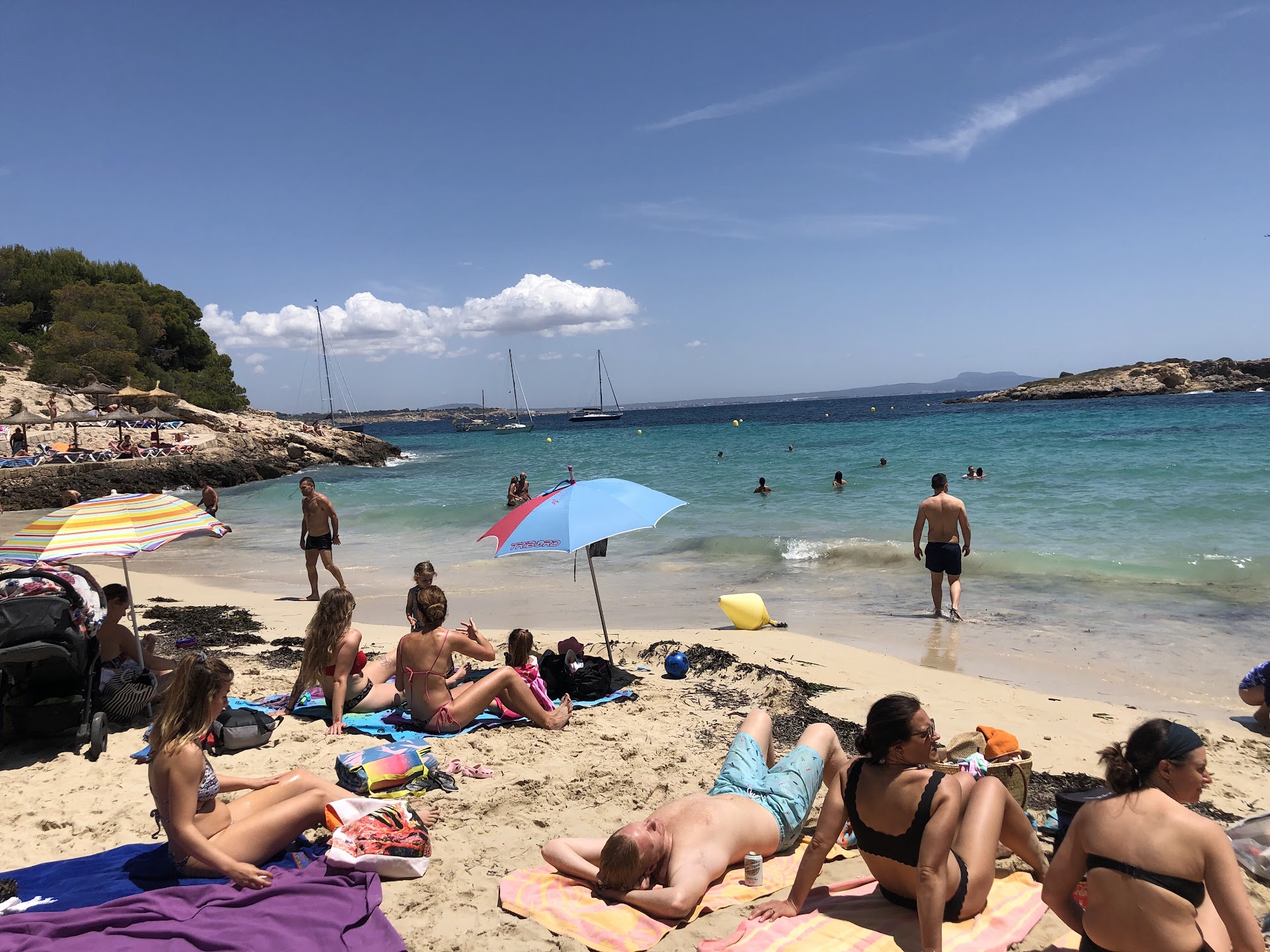 Island Hopping Tour in Illetes photo 4