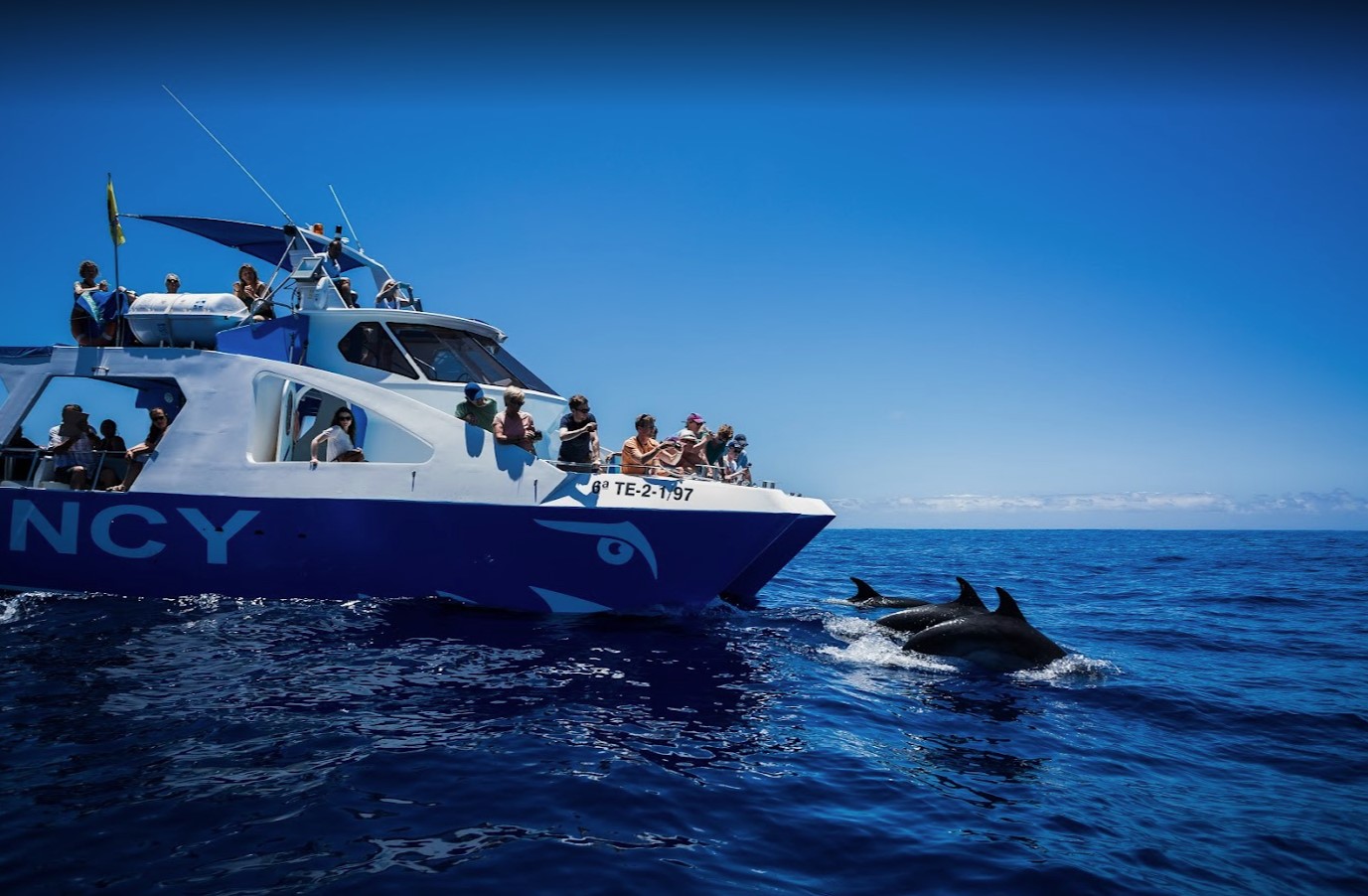 Sailing Excursion in Los Llanos de Aridane photo 5