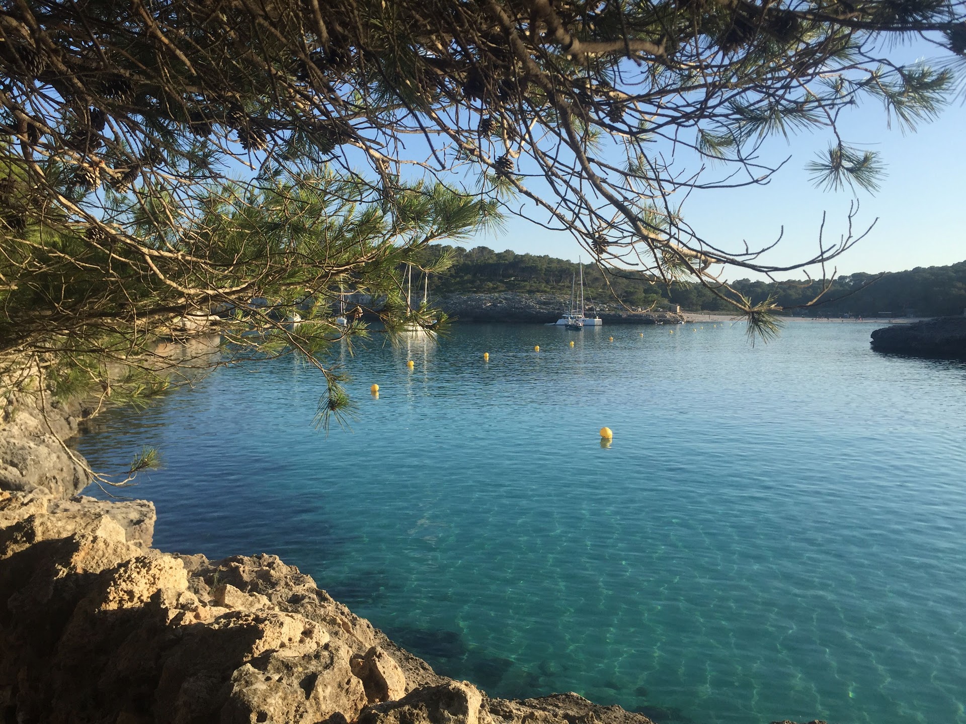 Island Hopping Tour in Portocolom photo 5