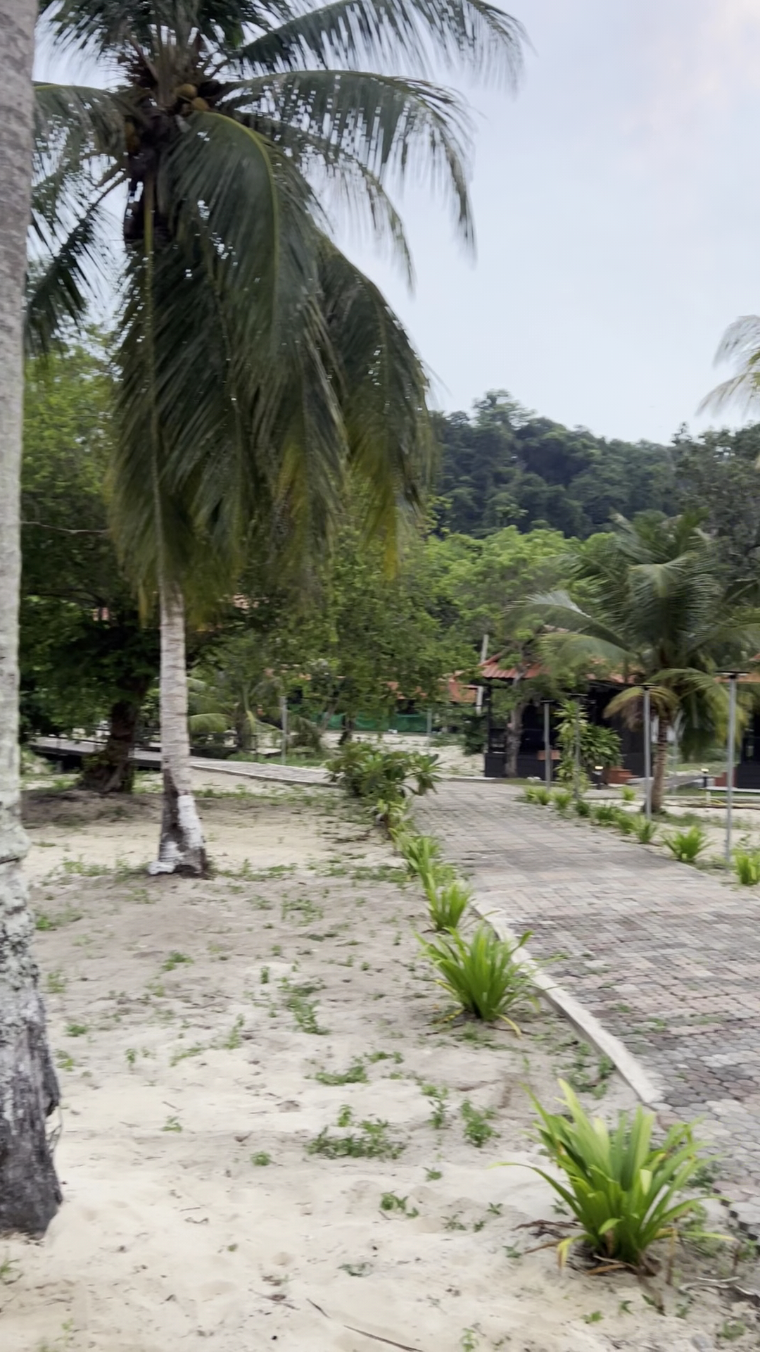 Gyms & Fitness in Kapas Island photo 2