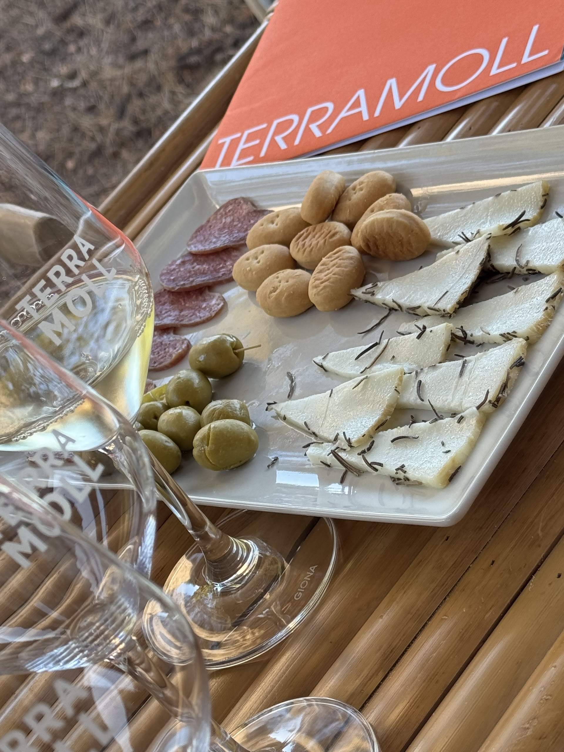 Wine Tasting in El Pilar de la Mola photo 2
