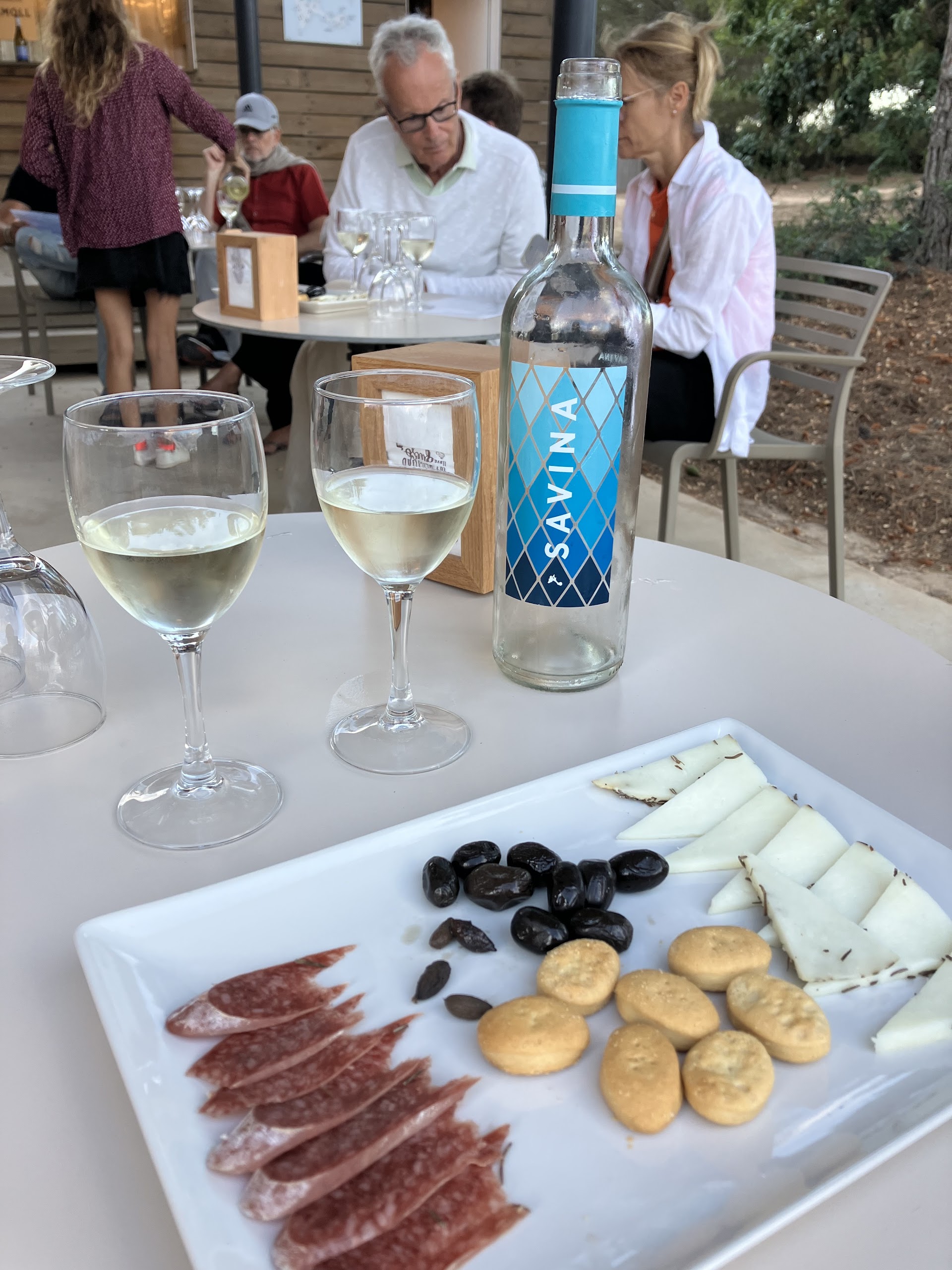 Wine Tasting in El Pilar de la Mola photo 4