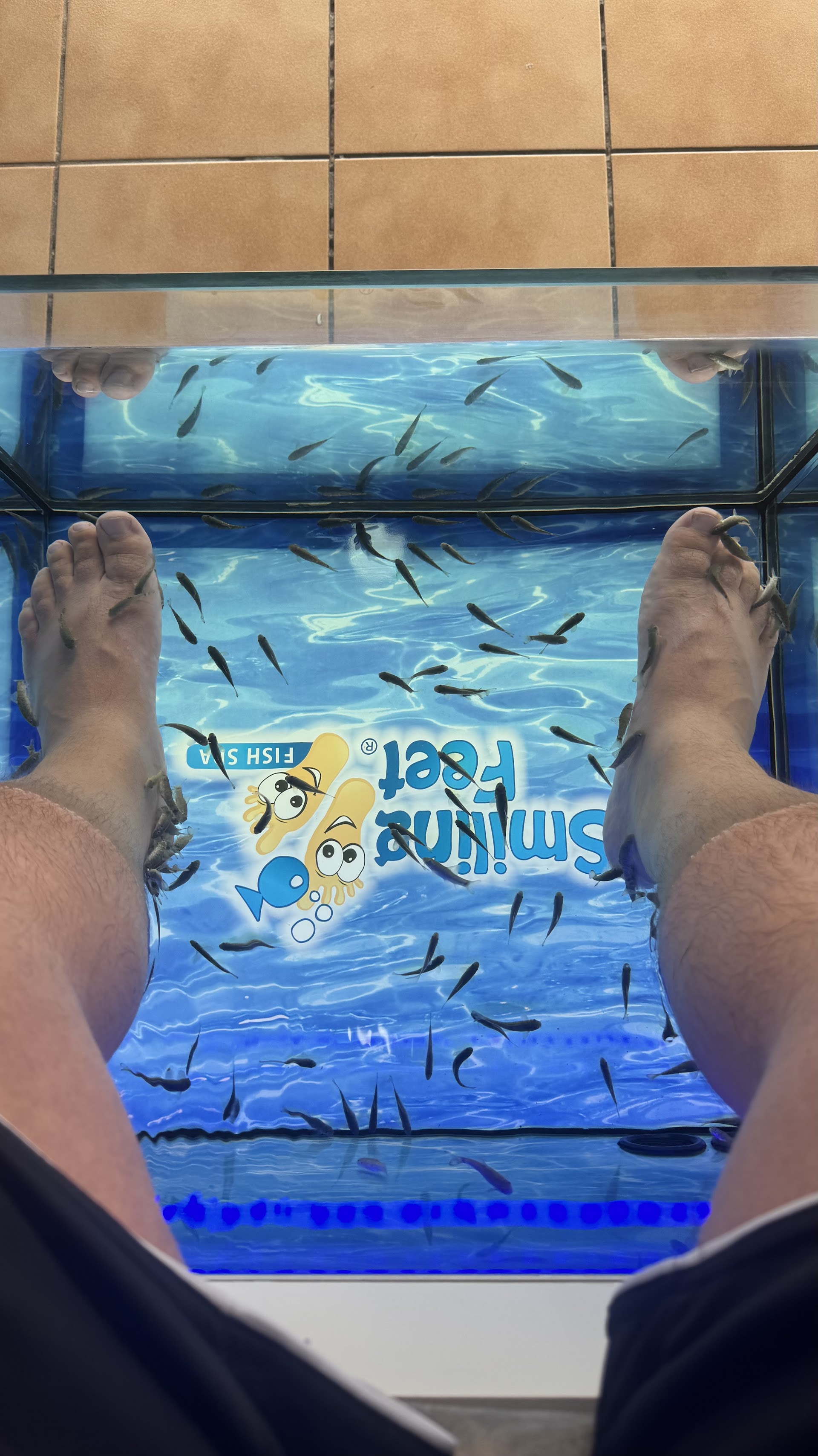 SMILING FEET FISH SPA CALA BONA