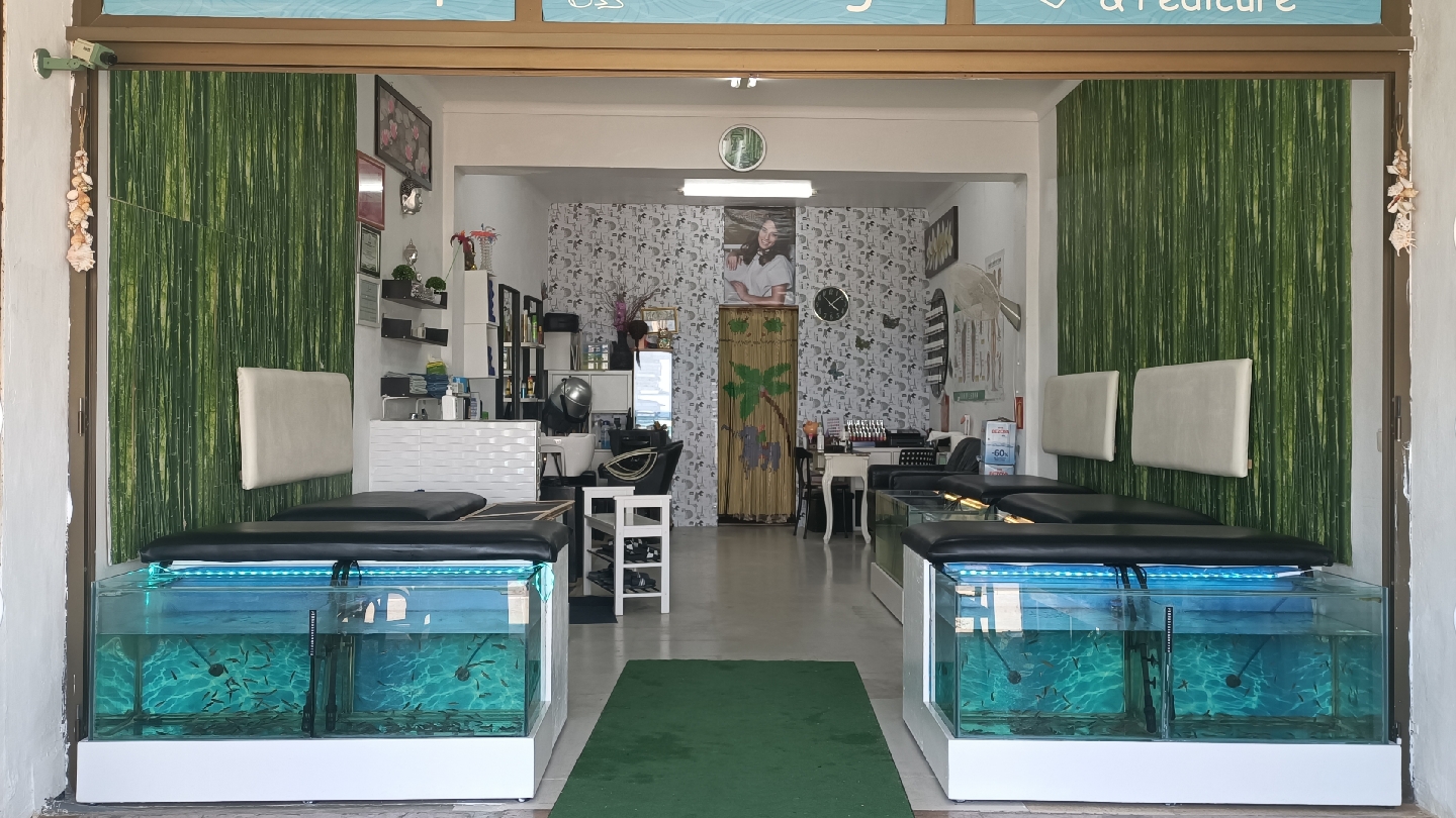 Wellness Retreat in Cala Bona photo 4
