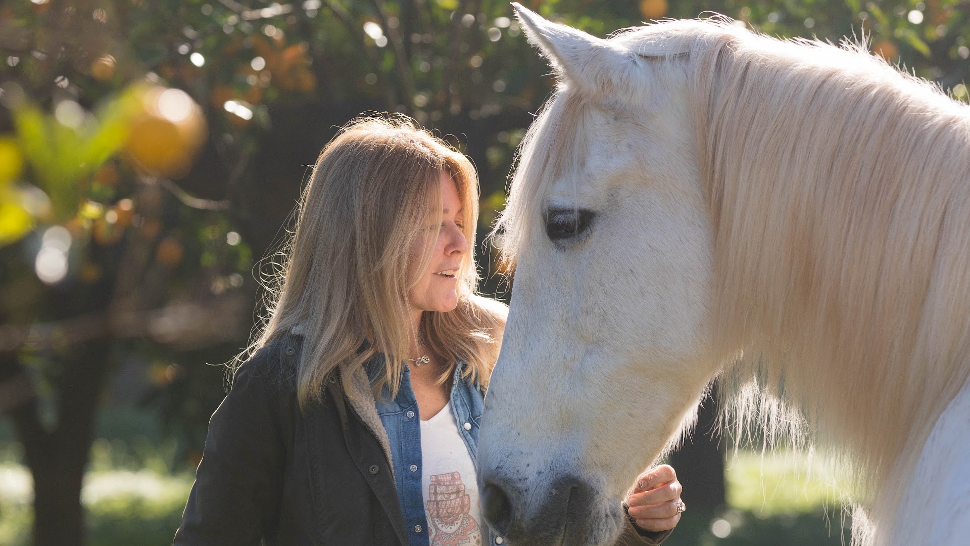 Lisa's Horse Island