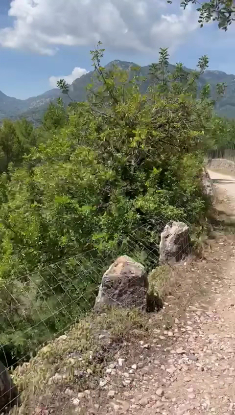 Horseback Riding in Deià photo 3