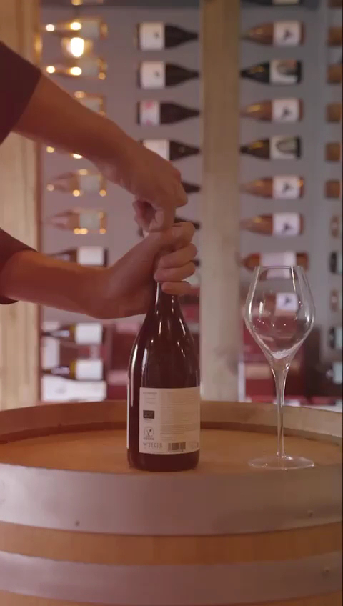 Wine Tasting in Ibiza Town photo 2
