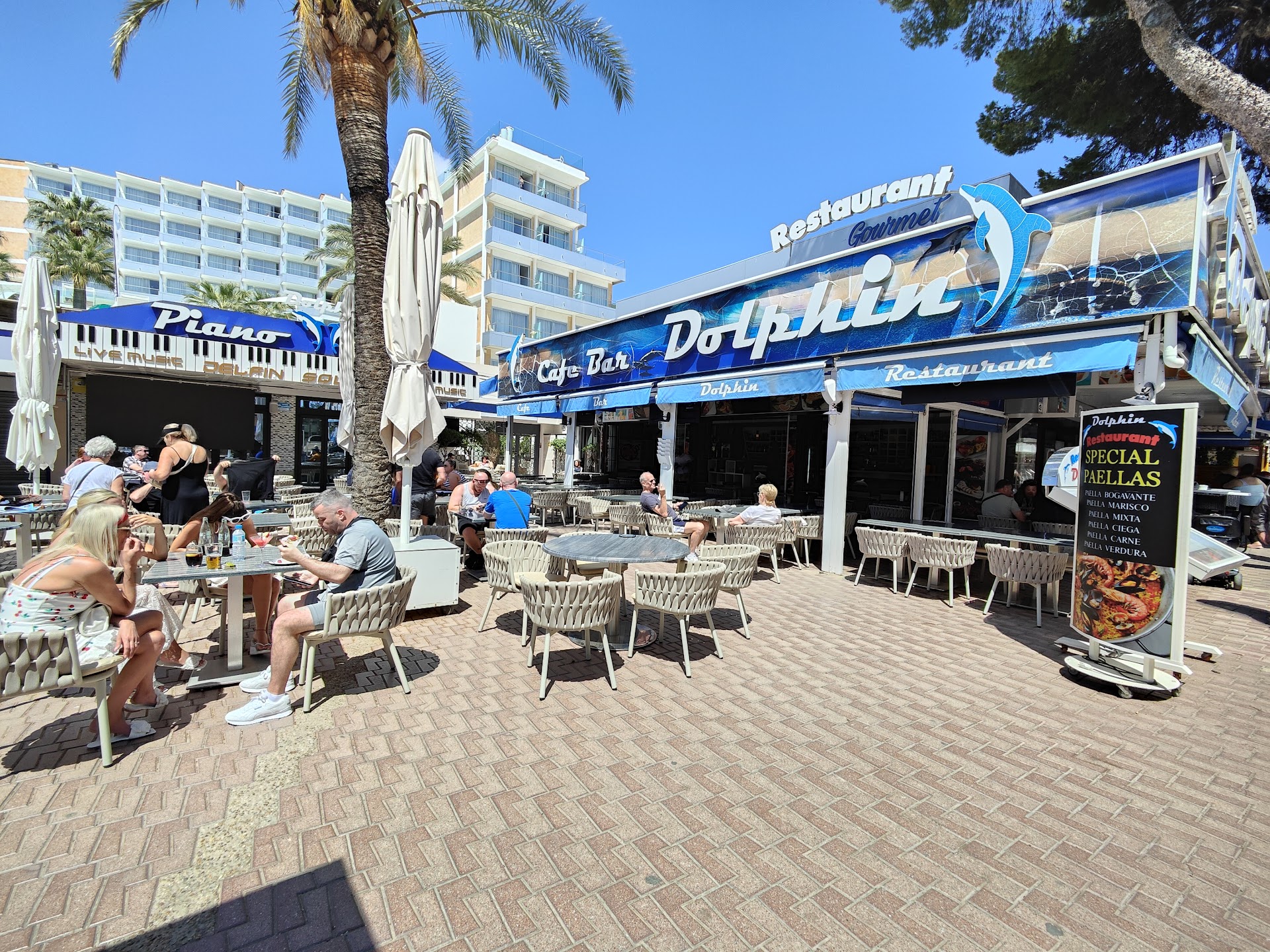 Dolphin Watching in Palma Nova photo 1