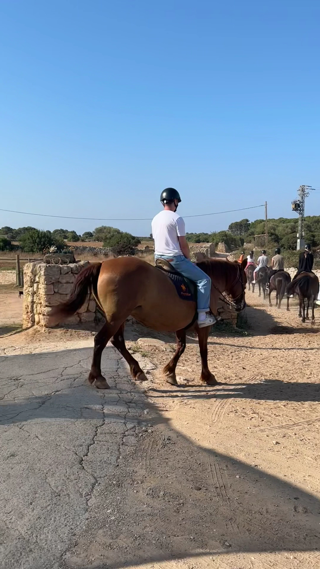 Horseback Riding in Cala en Bosch photo 3