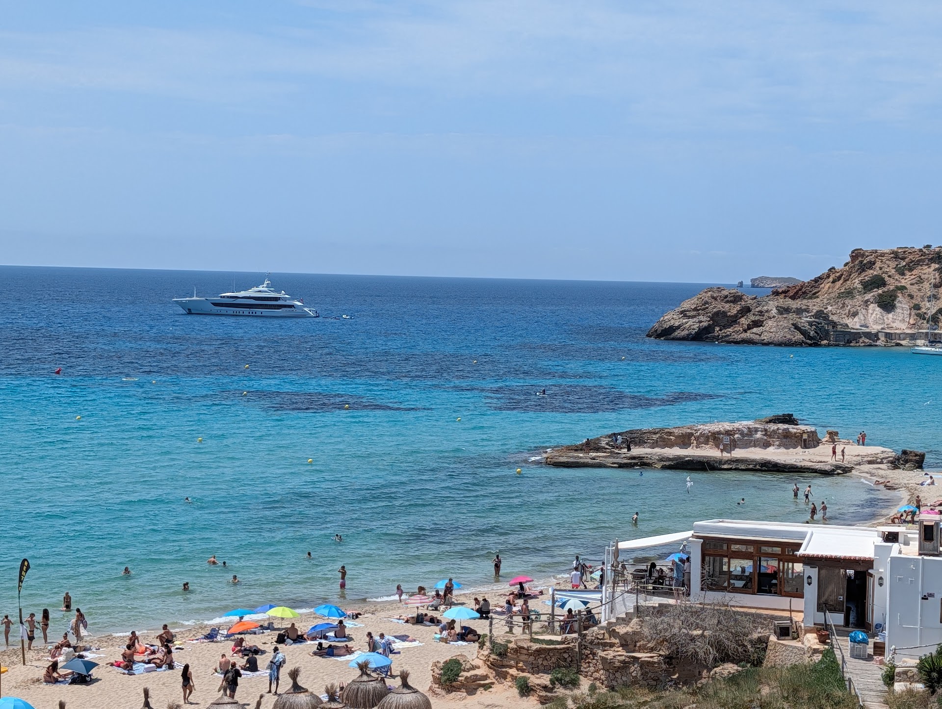 Dolphin Watching in Cala Tarida photo 2