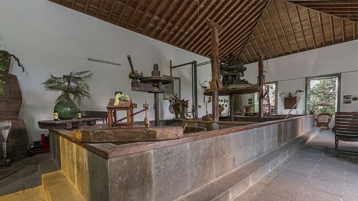 Bodega San Juan - Finca El Mocanal