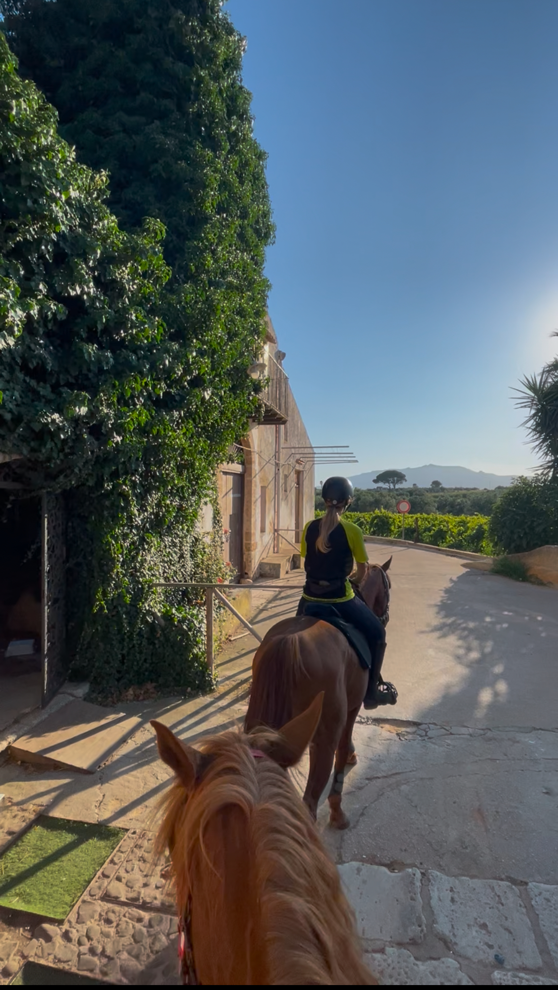 Horseback Riding in Linosa photo 2