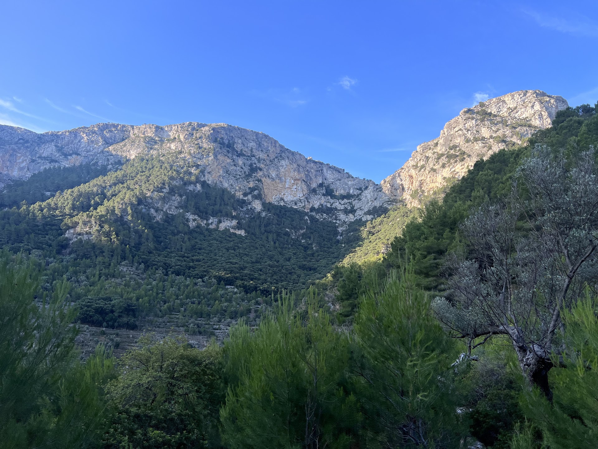 Excursión a Valldemossa